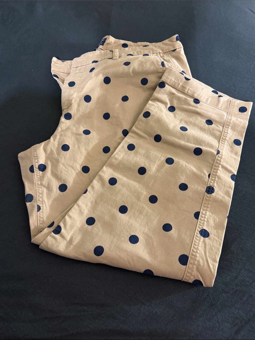 J. Crew Beige Pants with Navy Polka Dots - Straight Leg